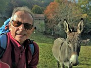 78 Mamma asina posa con me